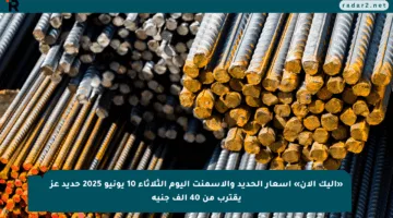 «إليك الآن» أسعار الحديد والأسمنت اليوم الثلاثاء 10 يونيو 2025 حديد عز يقترب من 40 ألف جنيه